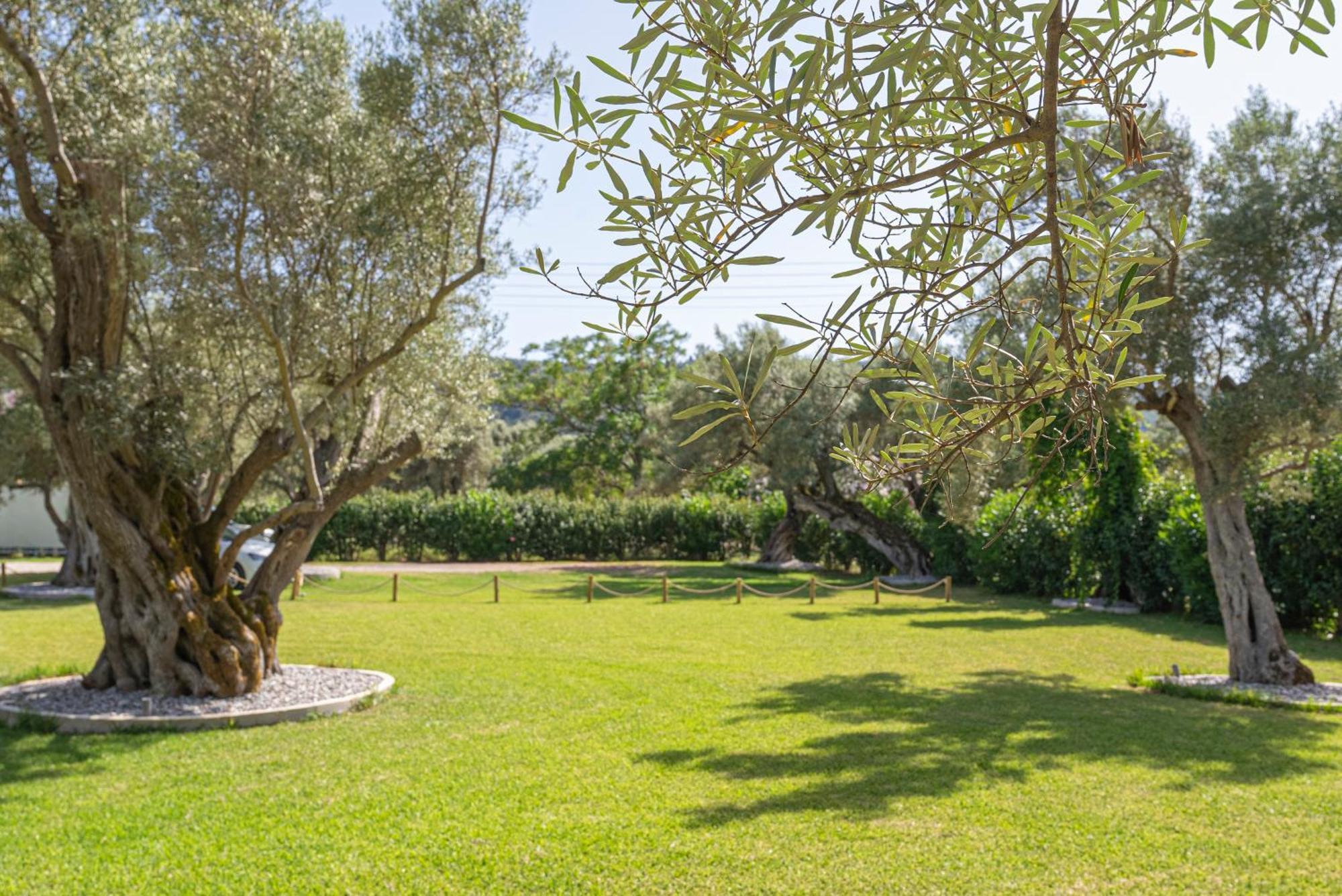 Elaia - Apartments & Studios Lefkada City Екстер'єр фото