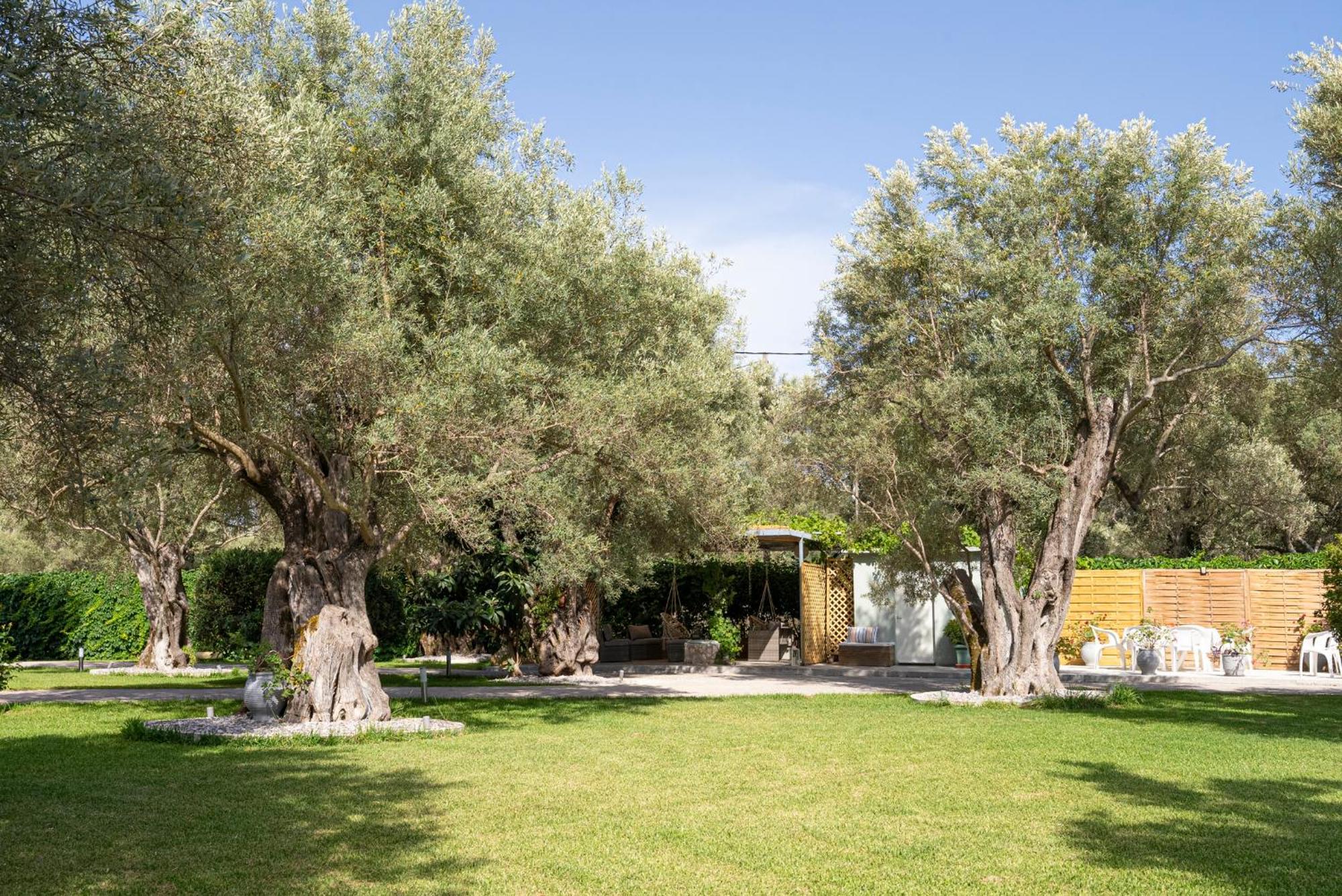 Elaia - Apartments & Studios Lefkada City Екстер'єр фото