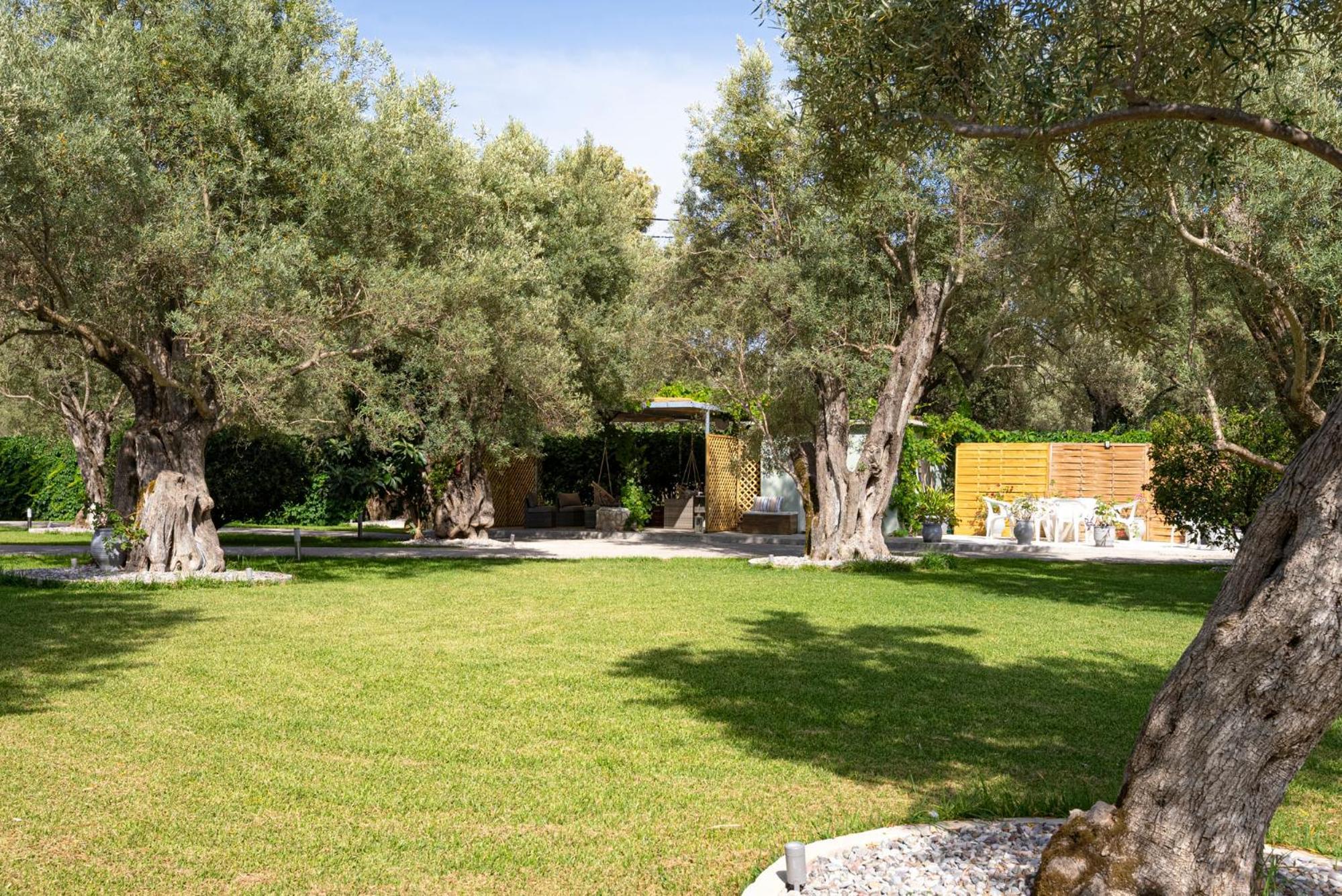Elaia - Apartments & Studios Lefkada City Екстер'єр фото