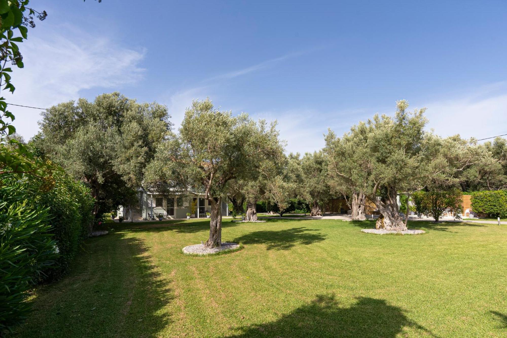 Elaia - Apartments & Studios Lefkada City Екстер'єр фото