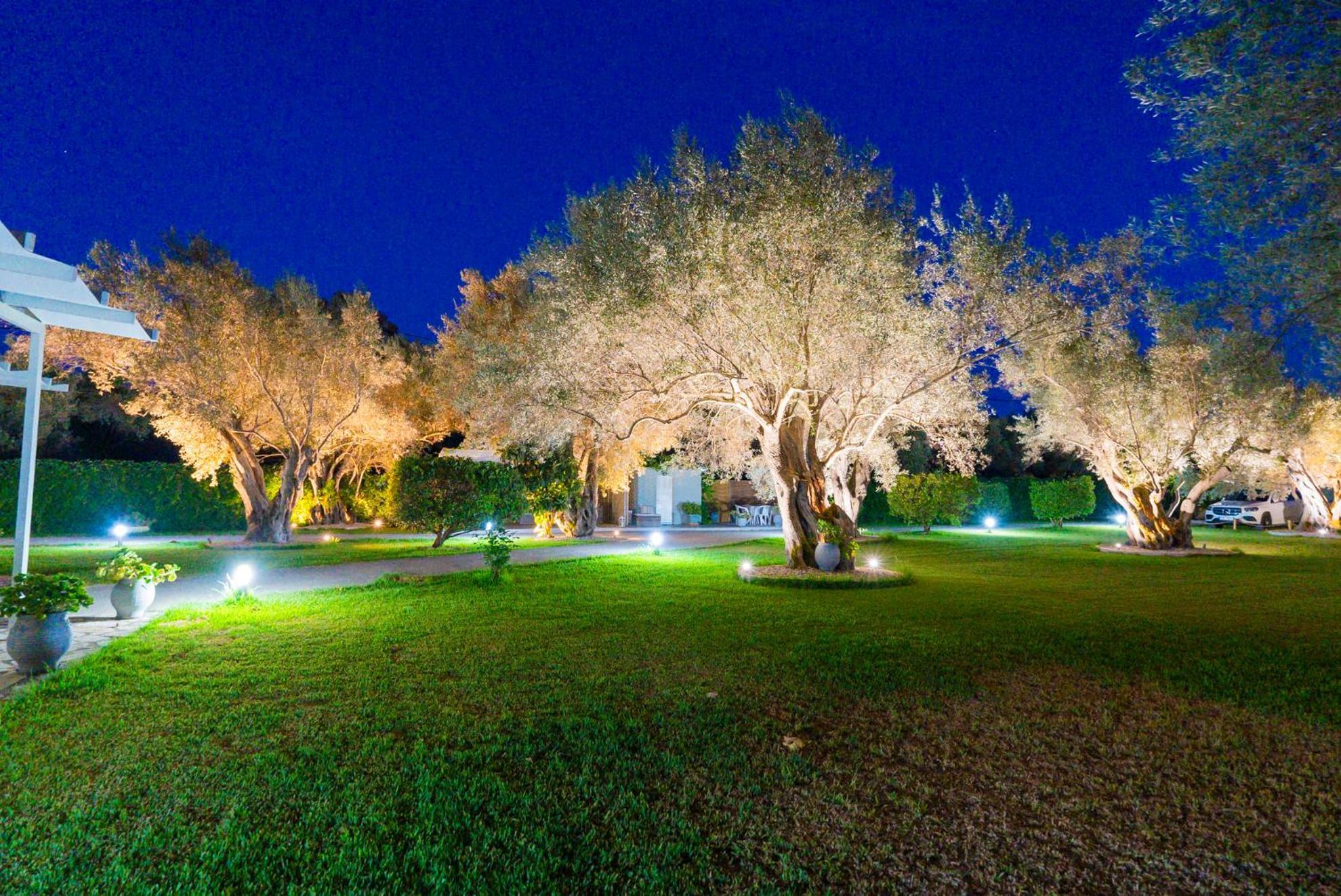 Elaia - Apartments & Studios Lefkada City Екстер'єр фото