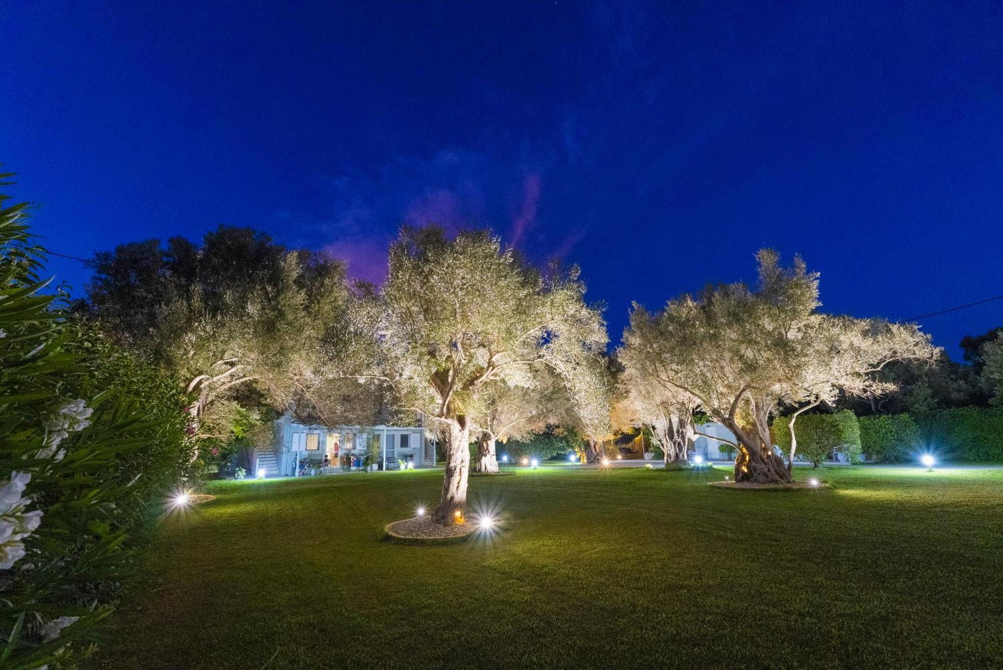 Elaia - Apartments & Studios Lefkada City Екстер'єр фото