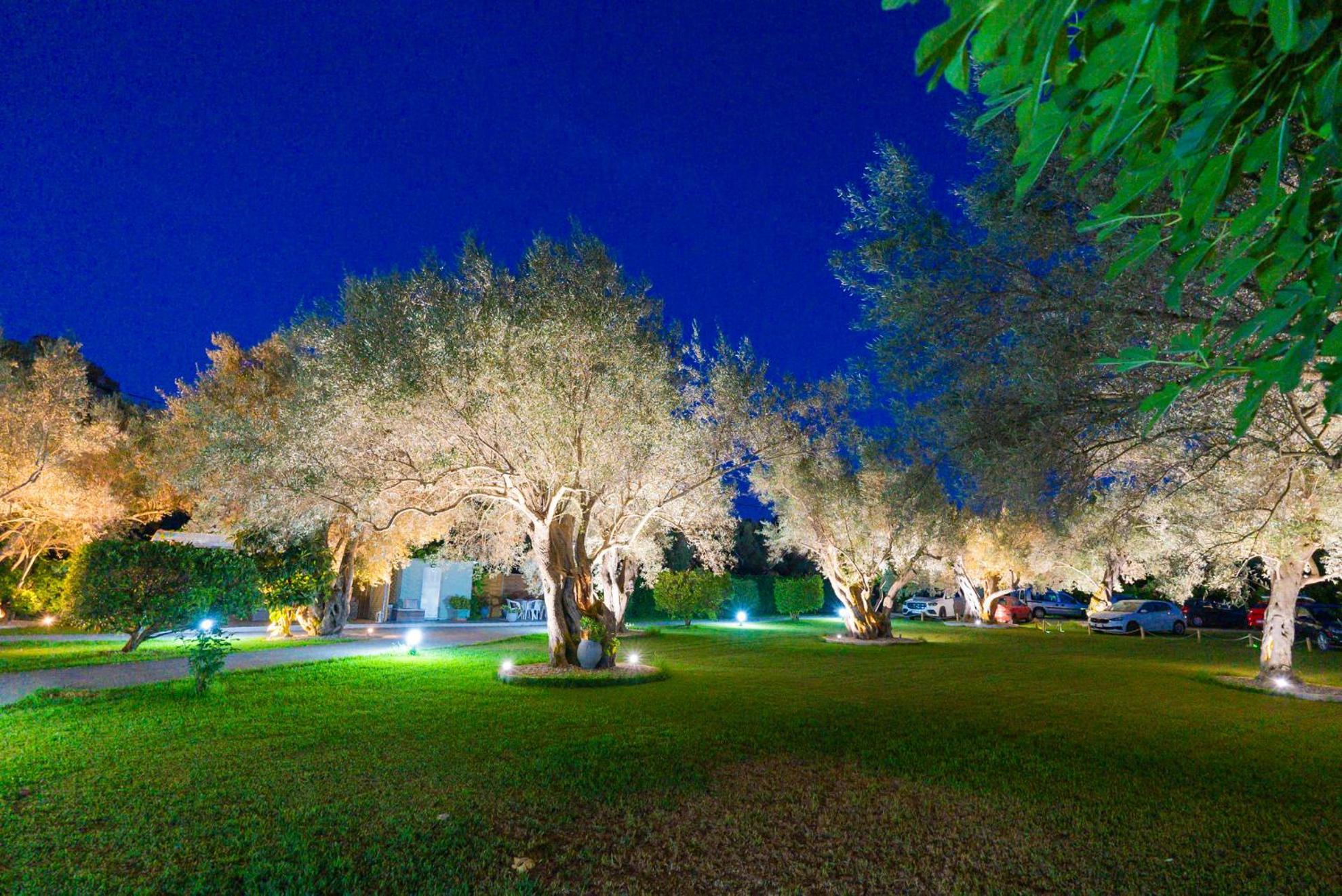 Elaia - Apartments & Studios Lefkada City Екстер'єр фото
